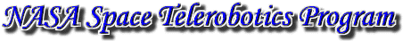 The NASA Space Telerobotics Program